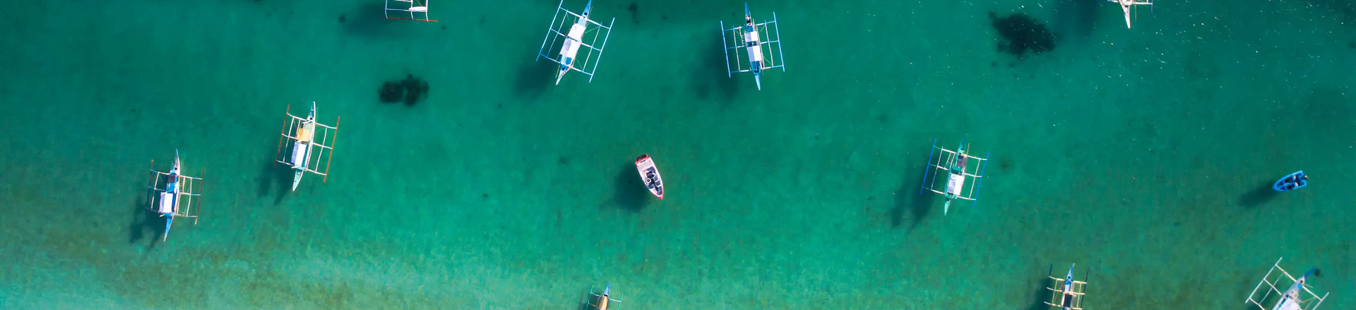 跟团游_banner (1).jpg