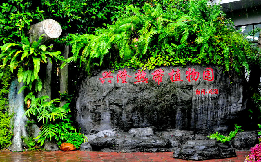 兴隆热带植物园.jpg