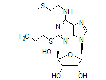 N6-(2-甲硫基乙基) -2-(3,3,3-三氟丙硫基)腺苷.jpg