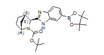 (1R,3S,4S)-2-(叔丁氧羰基)-3-(6-(硼酸频哪醇酯)-1H-苯并[D]咪唑-2-基)-2-氮杂双环[2.2.1]庚烷.jpg