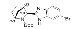 (1R,3S,4S)-3-(6-溴-1H-苯并咪唑-2-基)-2-氮杂双环[2.2.1]庚烷-2-羧酸叔丁酯.jpg