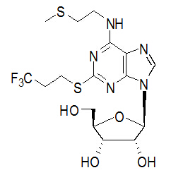 N6-(2-甲硫基乙基) -2-(3,3,3-三氟丙硫基)腺苷.jpg