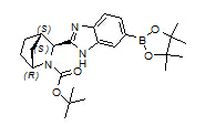 (1R,3S,4S)-2-(叔丁氧羰基)- 3-(6-(硼酸频哪醇酯)-1H-苯并[D]咪唑-2-基)-2-氮杂双环[2.2.1]庚烷.jpg