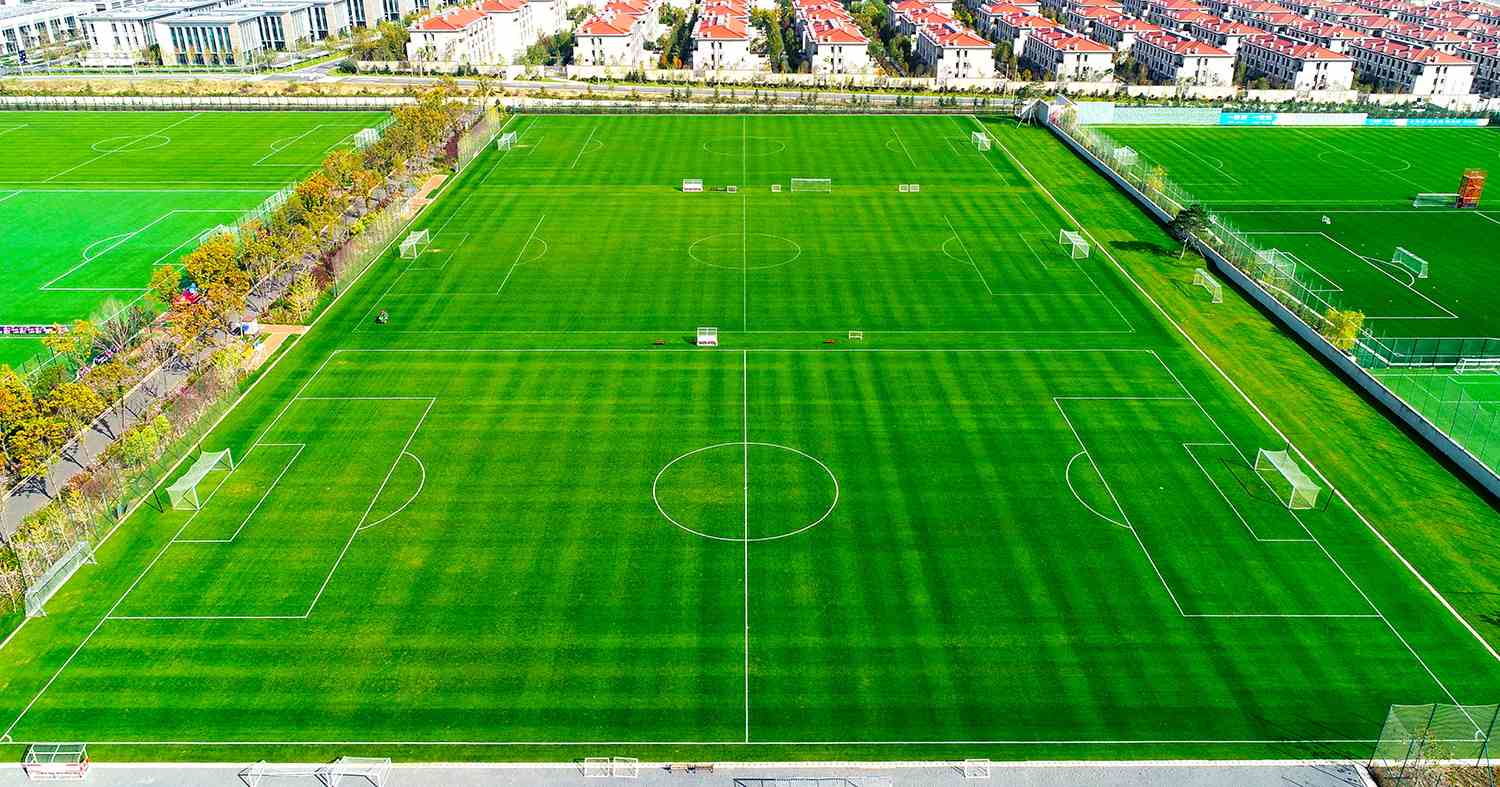 4号5号6号场地 (1).jpg